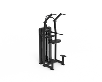 APXMAX Dual Series Chin / Dip assist Machine